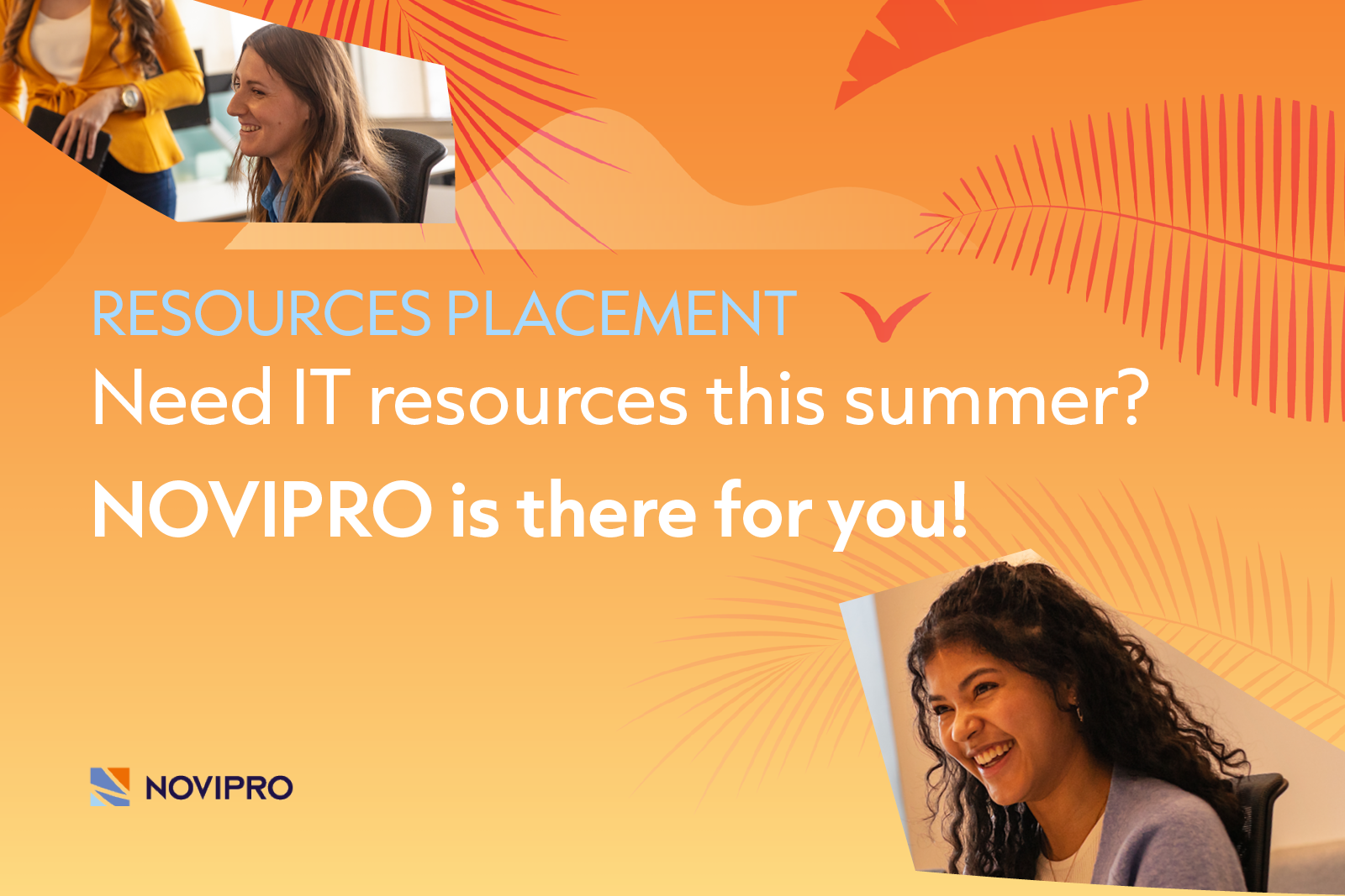 Need IT resources this summer? NOVIPRO is there for you!